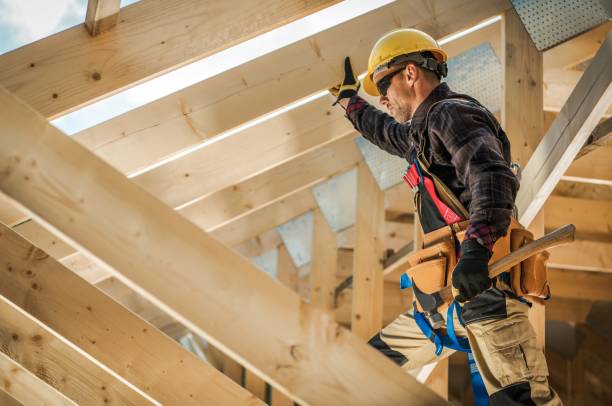 Best Roof Gutter Cleaning  in Roanoke, AL