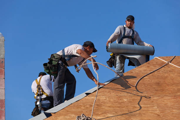 Best Roof Replacement Cost  in Roanoke, AL